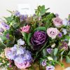 Lovely-Purpura-2