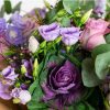 Lovely-Purpura-3