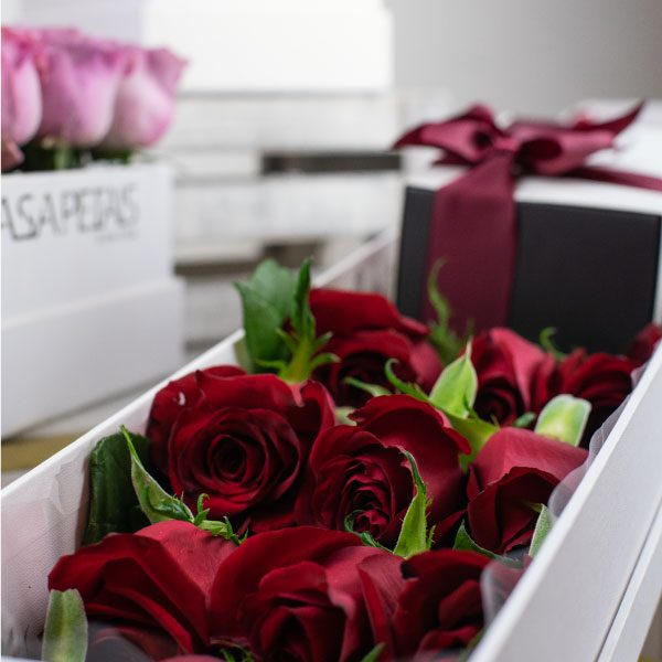 24-red-roses-in-premium-flower-box-by-casa-petals-online-flower-shop-in-dubai-