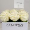 9-white-roses-in-premium-flower-box-by-casa-petals-online-flower-shop-in-dubai-1