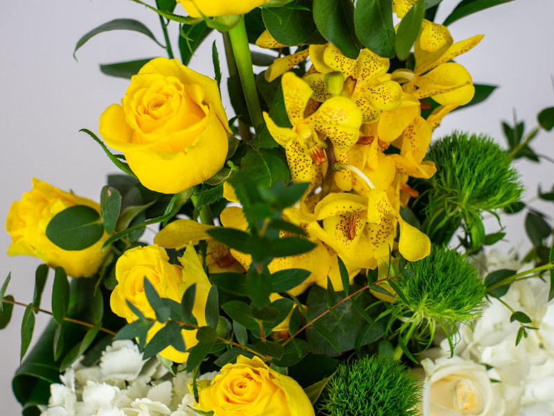 Summer Fresh Casa Petals