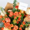 summet-time-bloom-casa-petals-dubai-1