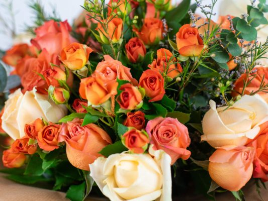 summet-time-bloom-casa-petals-dubai-2